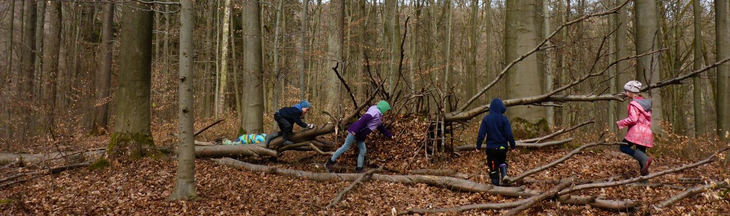 Kinder bauen im Wald eine Laubhütte