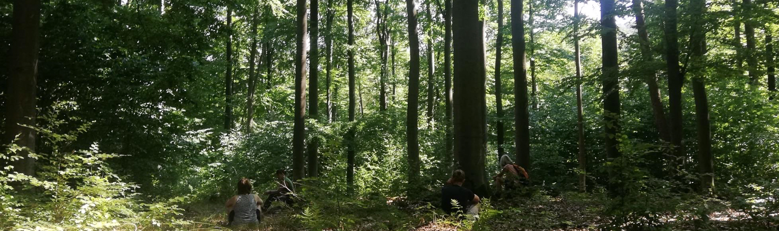 Menschen im Wald - Waldlauschen, Naturkunst und Entspannung